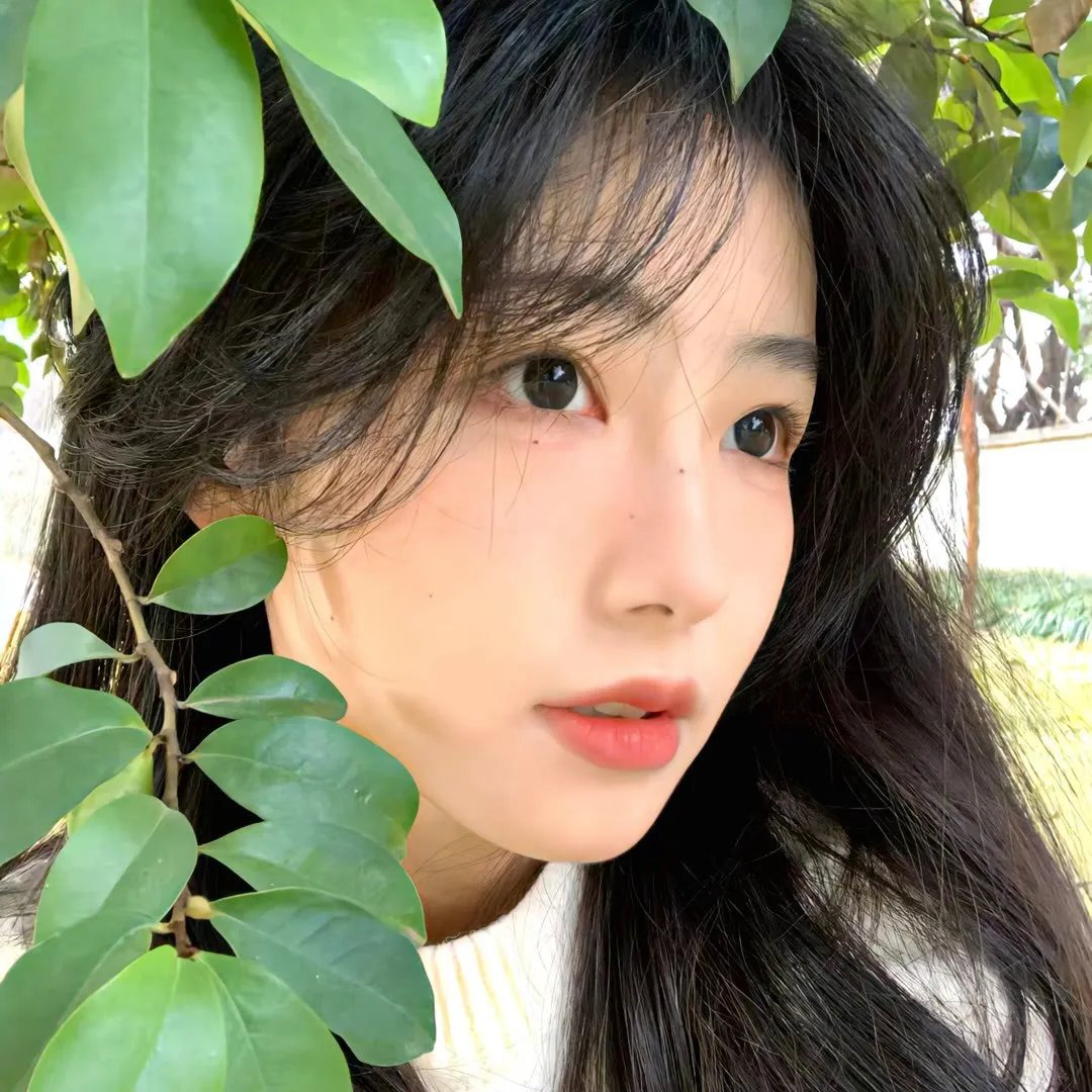 我为琴狂
